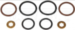 DORMAN INJECTOR O-RING KIT, FORD 6.0L 03-07